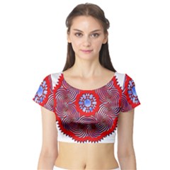 Short Sleeve Crop Top 