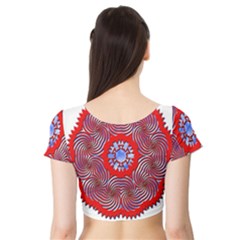 Short Sleeve Crop Top 