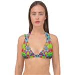Farbenpracht Kaleidoscope Pattern Double Strap Halter Bikini Top