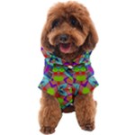 Farbenpracht Kaleidoscope Pattern Dog Coat