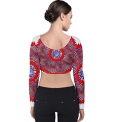Velvet Long Sleeve Crop Top 