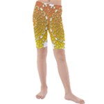 Mandala Background Image Ornament Kids  Mid Length Swim Shorts