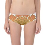Mandala Background Image Ornament Classic Bikini Bottoms