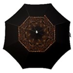 San Fransisco Usa California Water Straight Umbrellas