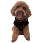 San Fransisco Usa California Water Dog Sweater