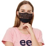 San Fransisco Usa California Water Fitted Cloth Face Mask (Adult)