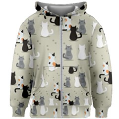 Kids  Zipper Hoodie Without Drawstring 
