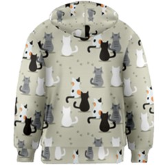 Kids  Zipper Hoodie Without Drawstring 