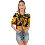 Xtreme Skateboard Graffiti Tie Front Shirt 