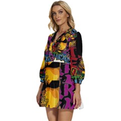 V-Neck Placket Mini Dress 