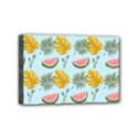Mini Canvas 6  x 4  (Stretched) 