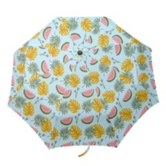 Folding Umbrella 