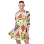 Fruits Pattern Background Food Mini Skater Shirt Dress