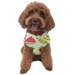 Fruits Pattern Background Food Dog Sweater