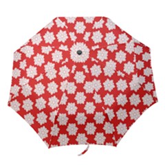 Folding Umbrella 
