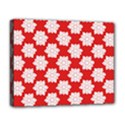 Deluxe Canvas 20  x 16  (Stretched) 