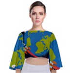 Spaceship Design Tie Back Butterfly Sleeve Chiffon Top