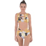 Seamless Pattern Cute Cat Cartoons Bandaged Up Bikini Set 