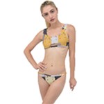 Seamless Pattern Cute Cat Cartoons The Little Details Bikini Set
