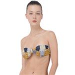 Seamless Pattern Cute Cat Cartoons Classic Bandeau Bikini Top 