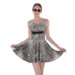 Han Solo In Carbonite Skater Dress
