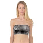 Han Solo In Carbonite Bandeau Top