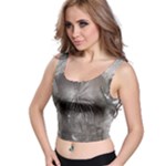 Han Solo In Carbonite Crop Top
