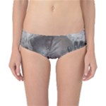 Han Solo In Carbonite Classic Bikini Bottoms