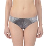 Han Solo In Carbonite Hipster Bikini Bottoms
