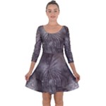 Han Solo In Carbonite Quarter Sleeve Skater Dress