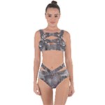 Han Solo In Carbonite Bandaged Up Bikini Set 
