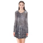 Han Solo In Carbonite Long Sleeve V-neck Flare Dress