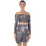 Han Solo In Carbonite Off Shoulder Top with Skirt Set