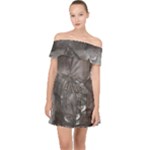 Han Solo In Carbonite Off Shoulder Chiffon Dress