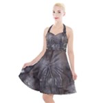 Han Solo In Carbonite Halter Party Swing Dress 