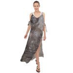 Han Solo In Carbonite Maxi Chiffon Cover Up Dress