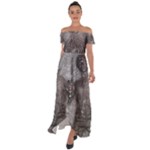 Han Solo In Carbonite Off Shoulder Open Front Chiffon Dress