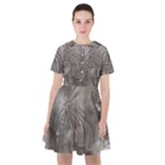 Han Solo In Carbonite Sailor Dress