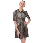 Han Solo In Carbonite Belted Shirt Dress