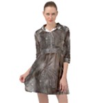Han Solo In Carbonite Mini Skater Shirt Dress