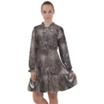 Han Solo In Carbonite All Frills Chiffon Dress