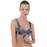 Han Solo In Carbonite Front Tie Bikini Top