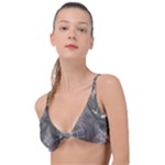 Han Solo In Carbonite Knot Up Bikini Top