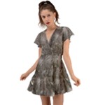Han Solo In Carbonite Flutter Sleeve Wrap Dress