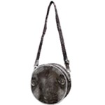 Han Solo In Carbonite Crossbody Circle Bag