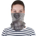 Han Solo In Carbonite Face Seamless Bandana (Adult)