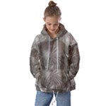 Han Solo In Carbonite Kids  Oversized Hoodie