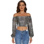 Han Solo In Carbonite Long Sleeve Crinkled Weave Crop Top