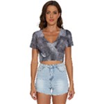 Han Solo In Carbonite V-Neck Crop Top