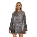 Han Solo In Carbonite Round Neck Long Sleeve Bohemian Style Chiffon Mini Dress